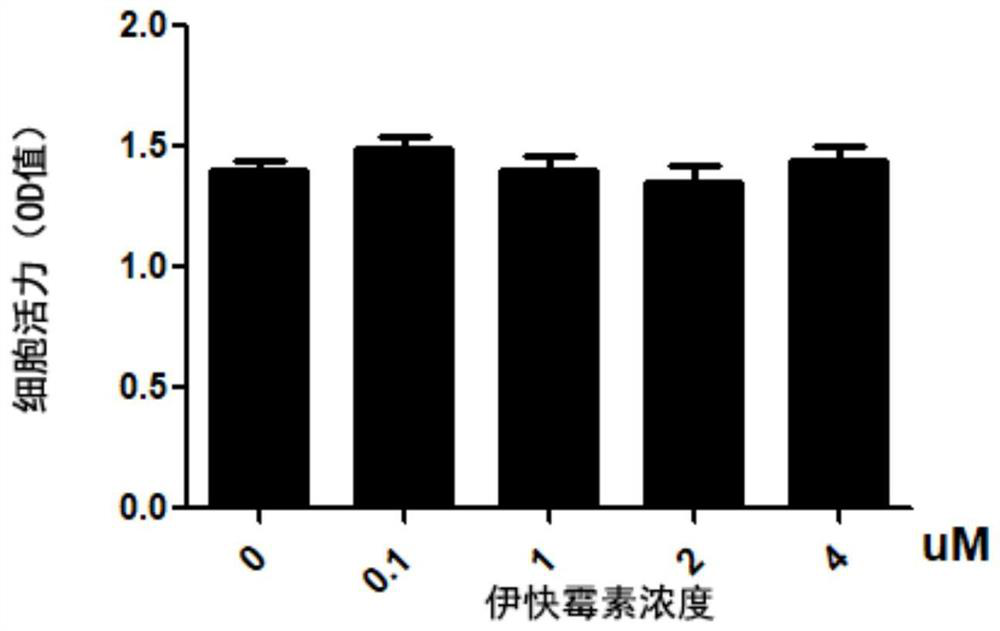 Application of equisetin to preparation of osteoclast differentiation inhibitor