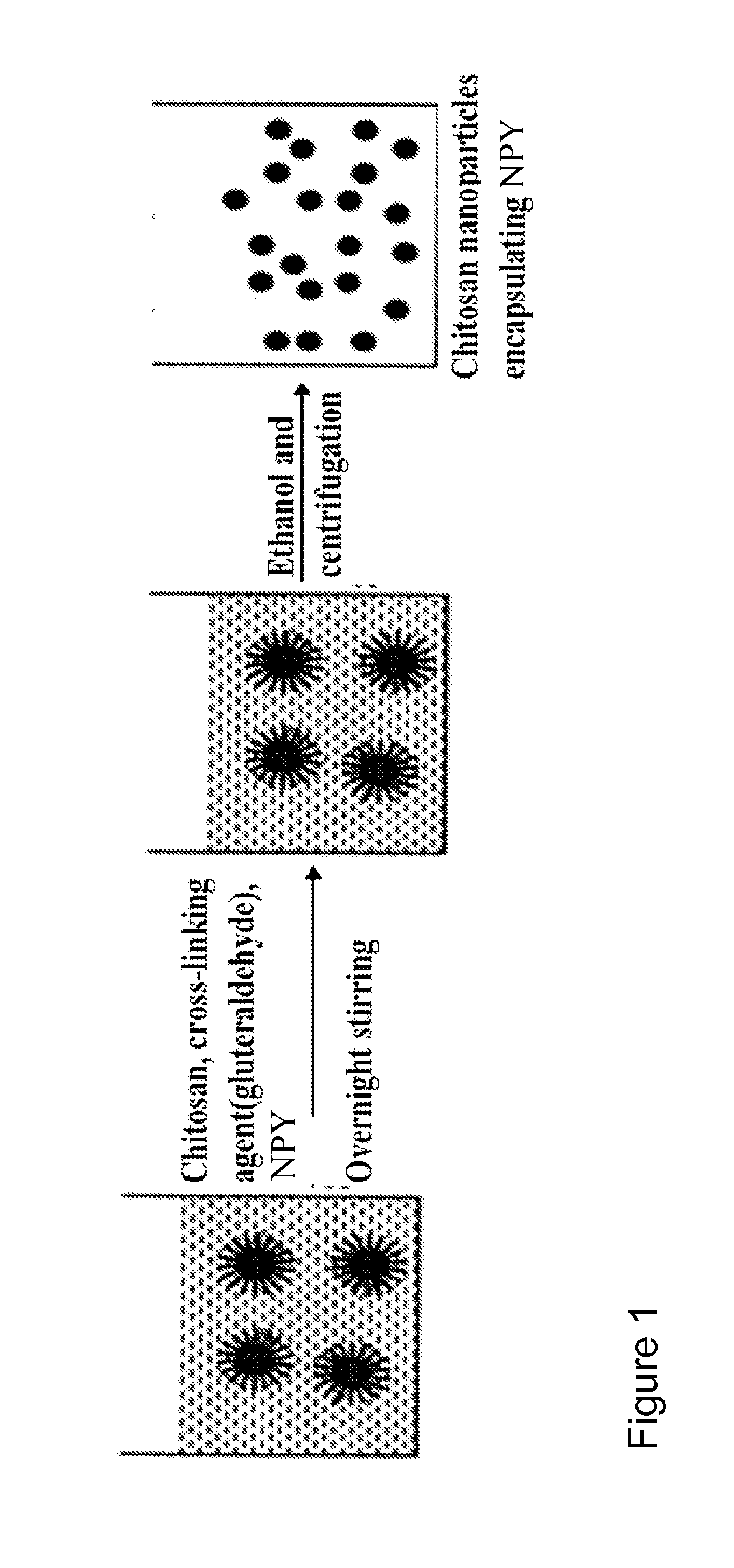 Novel hemostatic patch and uses thereof