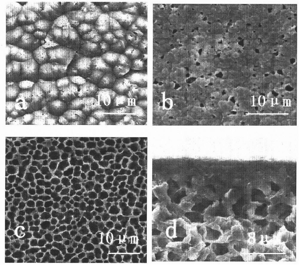 Preparation method and application of high-absorbance honeycomb polyamide membrane
