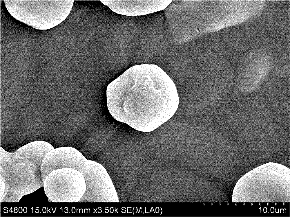 Preparation method for microencapsulated oral live vaccine of gosling plague