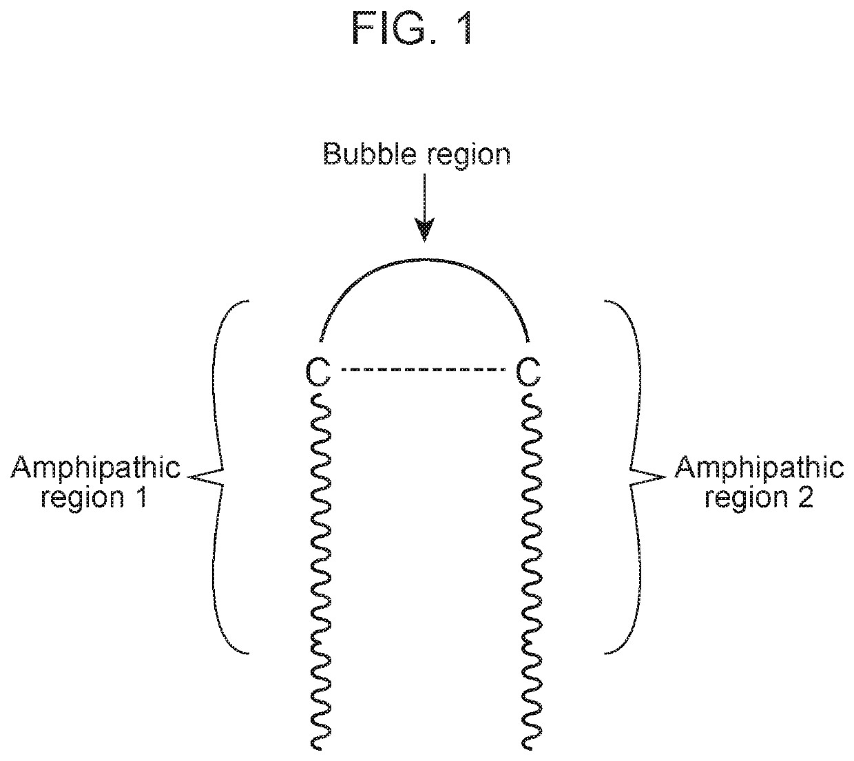 Antimicrobial peptides and methods of using the same