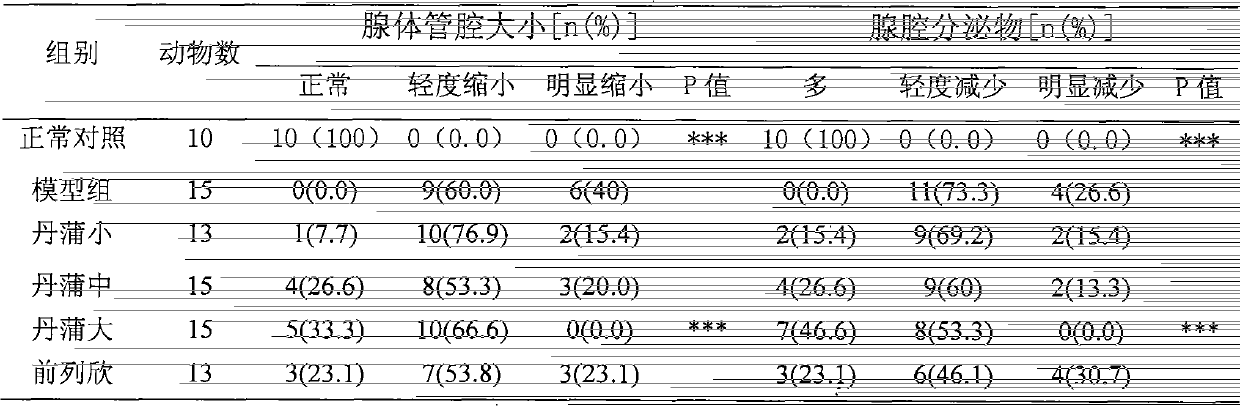 Traditional Chinese medicine composition for treating chronic prostatitis and preparation method thereof