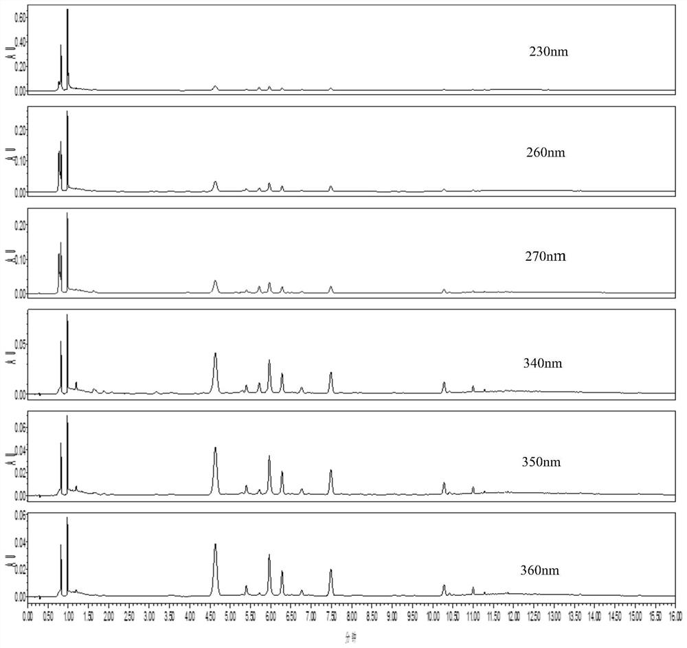 Construction method and detection method of the uplc characteristic map of the medicinal material of light bamboo leaves