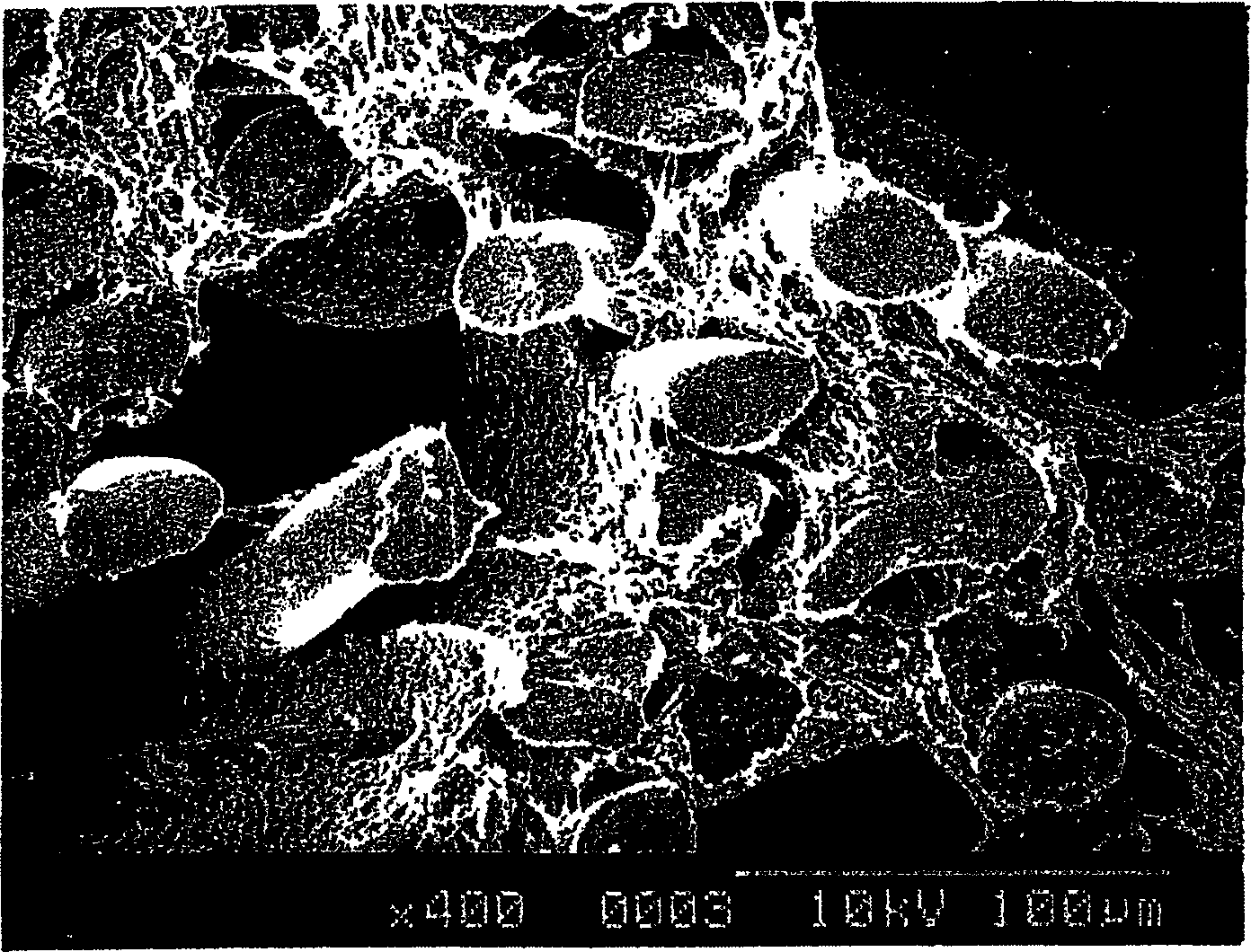 Process for producing porous structure, artificial leather, and synthetic leather