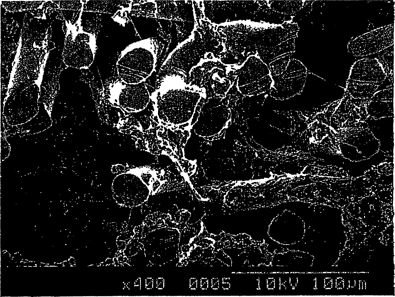 Process for producing porous structure, artificial leather, and synthetic leather