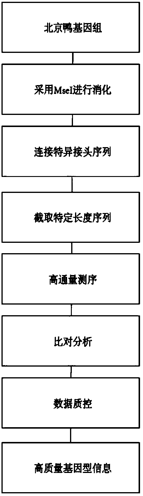 Simplified gene sequencing method of Peking duck based on gbs technology