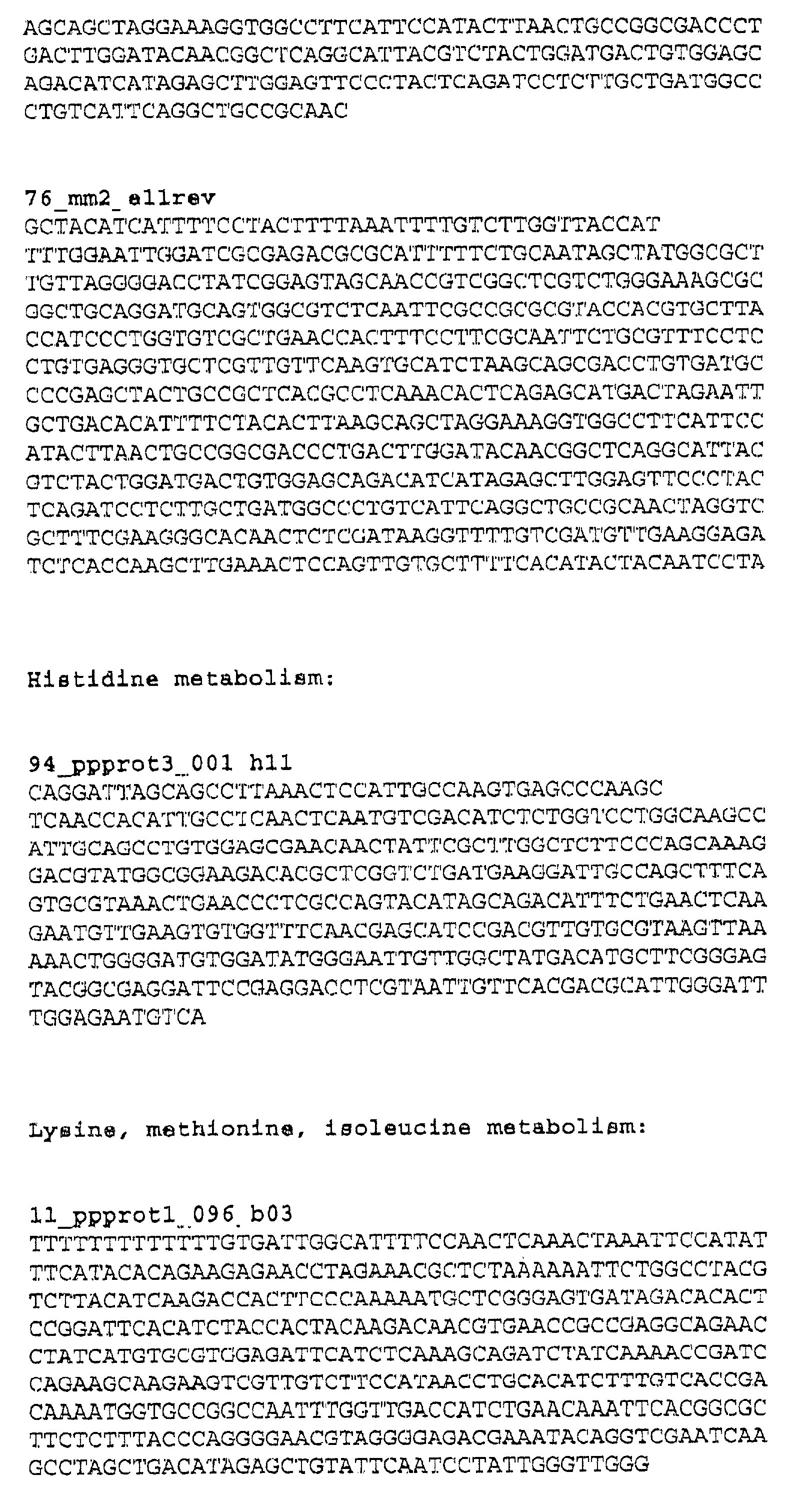 Moss genes from physcomitrella patens encoding proteins involved in the synthesis of amino acids, vitamins, cofactors, nucleotides and nucleosides