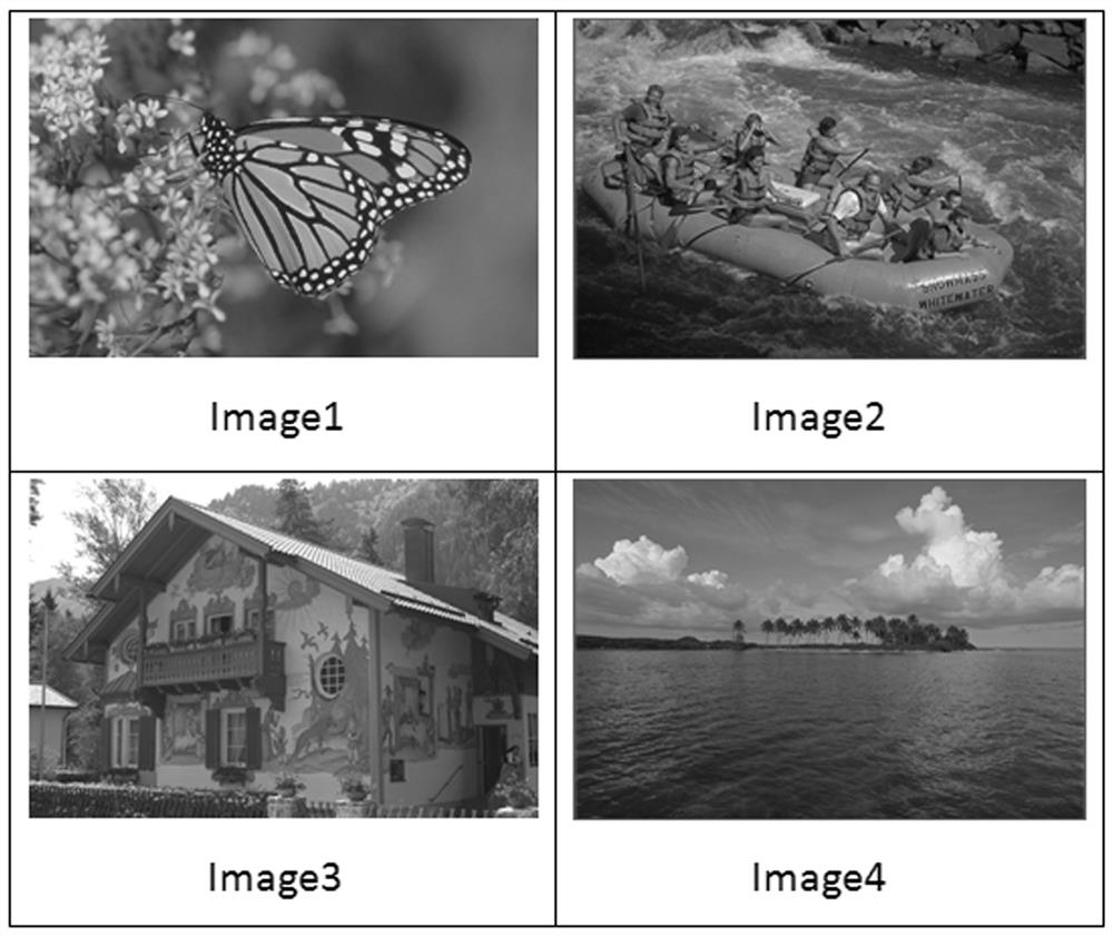 Blur detection method based on svd decomposition in image dct domain