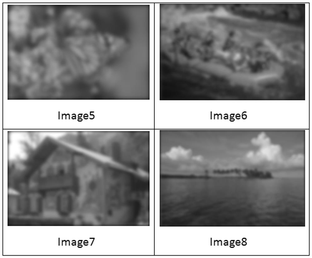 Blur detection method based on svd decomposition in image dct domain