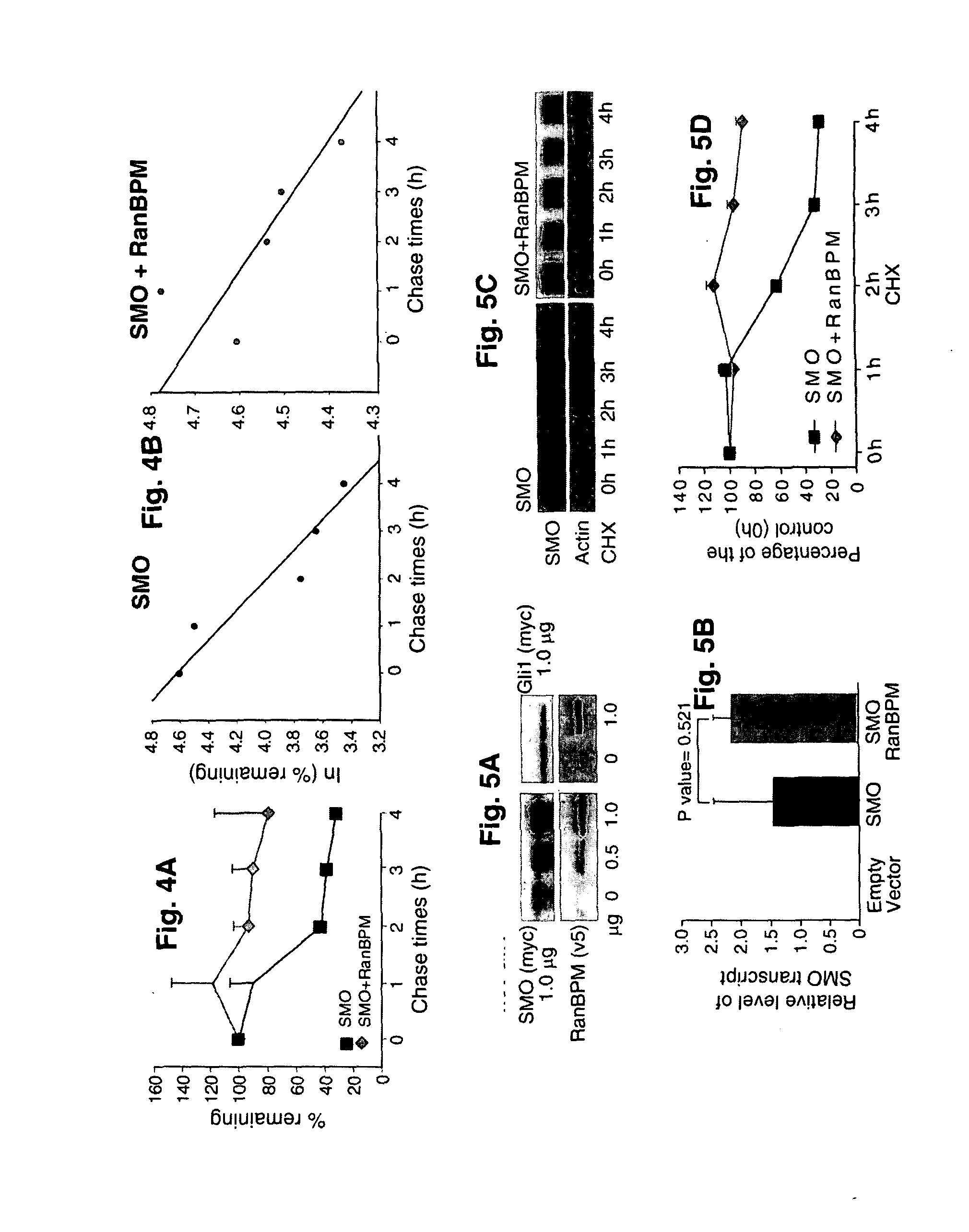 Hedgehog signaling pathway proteins and uses thereof