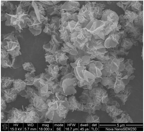A kind of preparation method of flaky nano fes2/c negative electrode material