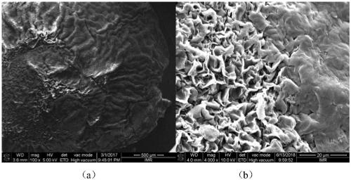 Preparation method of graphene gradient-coated polyacrylic acid composite conducting particles