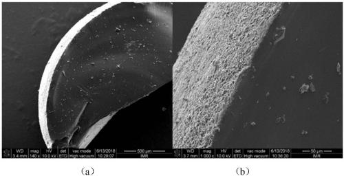 Preparation method of graphene gradient-coated polyacrylic acid composite conducting particles