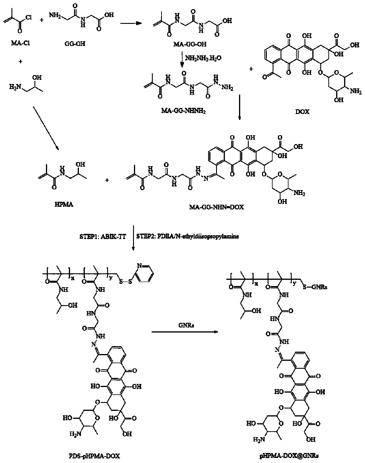 HPMA-polymer-modified-gold-nanorod medicine-carrying system and production method and application thereof