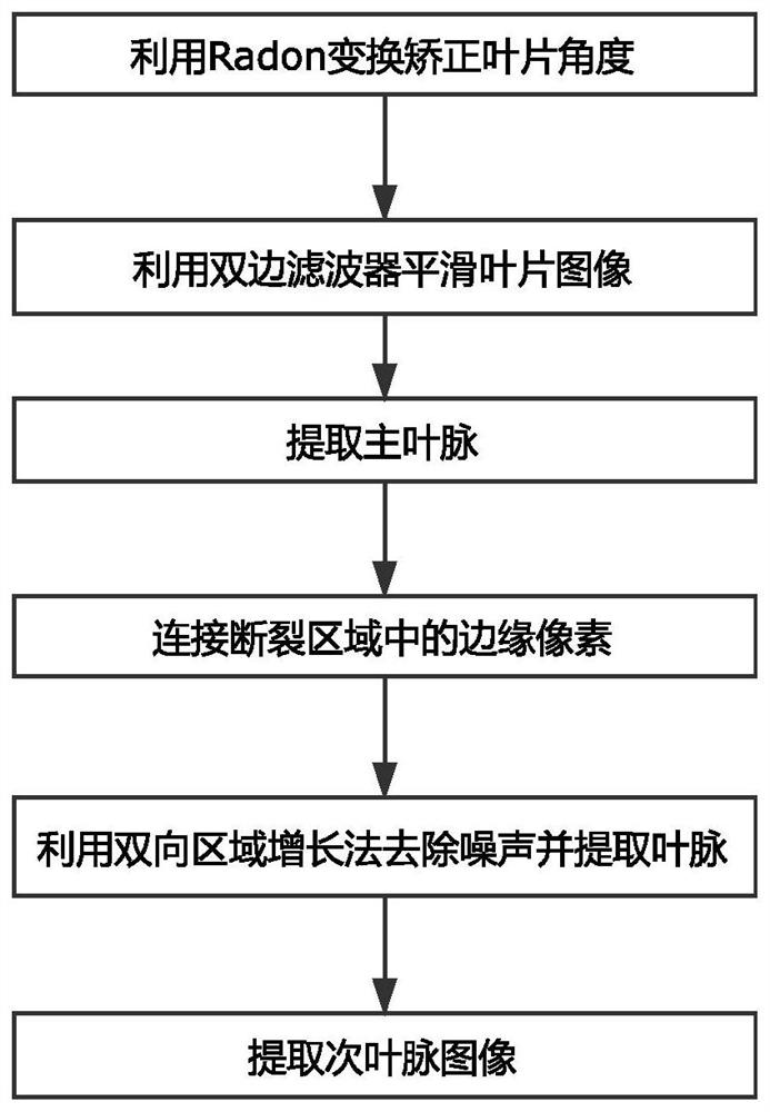 Vein Extraction Method Based on Improved Canny Operator Based on Window Dynamic Threshold