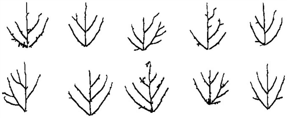 Vein Extraction Method Based on Improved Canny Operator Based on Window Dynamic Threshold