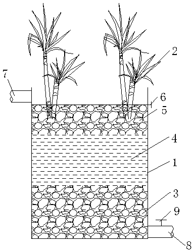 Method for improving ammonia nitrogen removal in constructed wetland by utilizing wetland harvesting plant