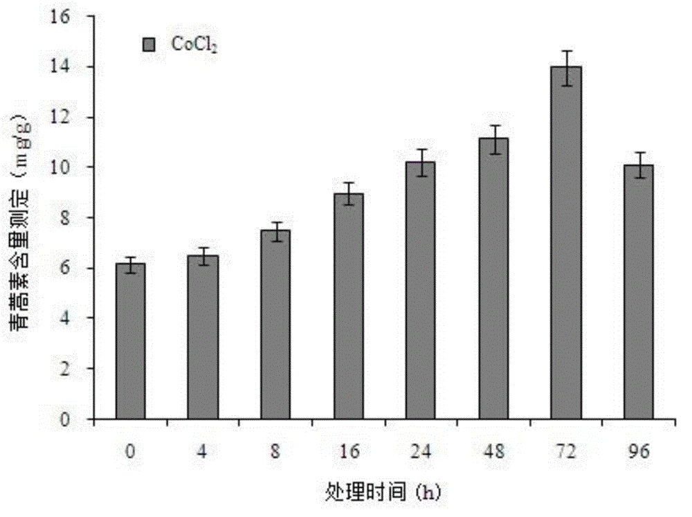 Method for treating and increasing arteannuin content in sweet wormwood through carbonyl chloride (CoC12)