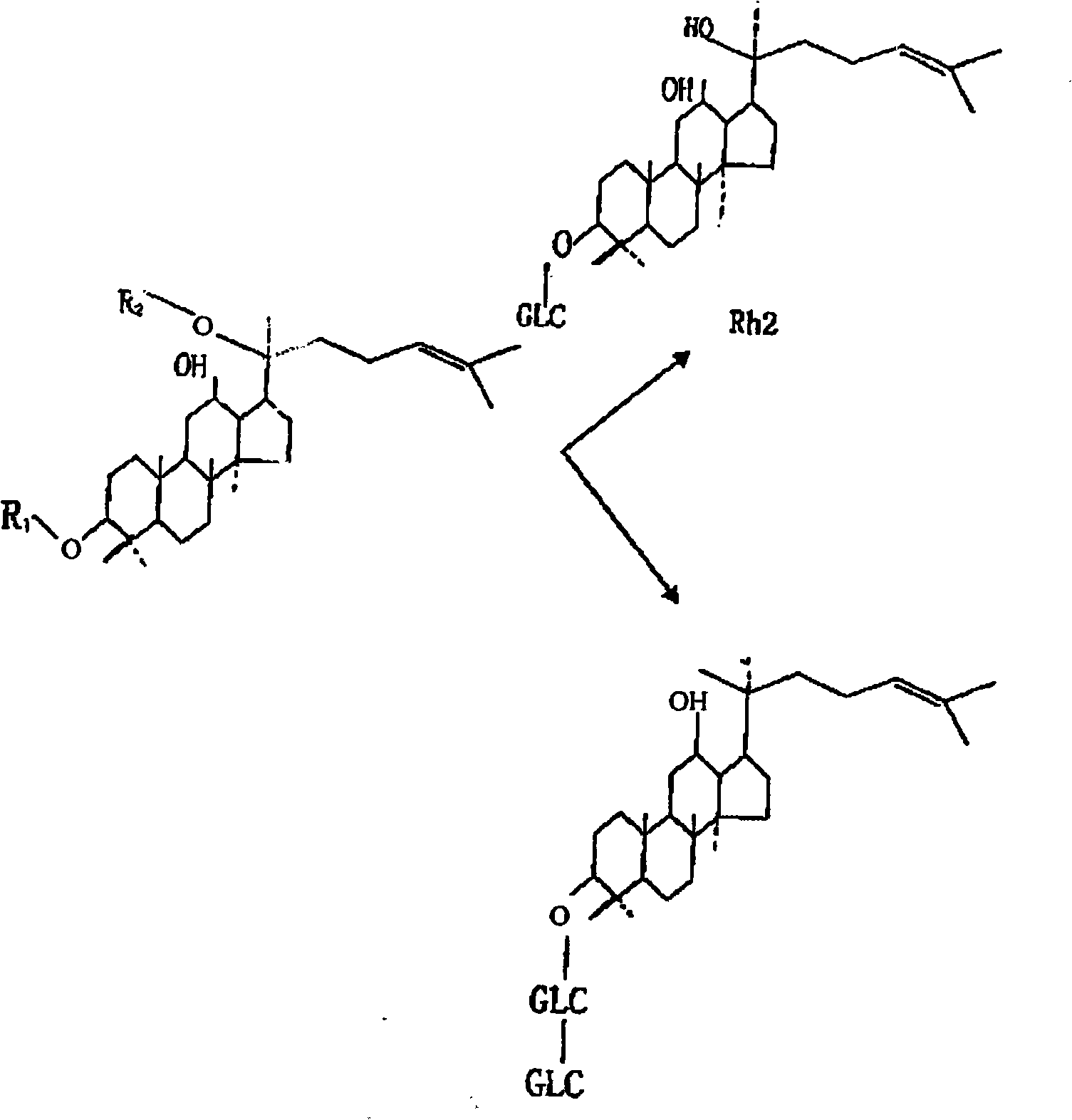 Process for preparing ginsenosides Rh2 and Rh3 from stems and leaves of pseudoginseng root