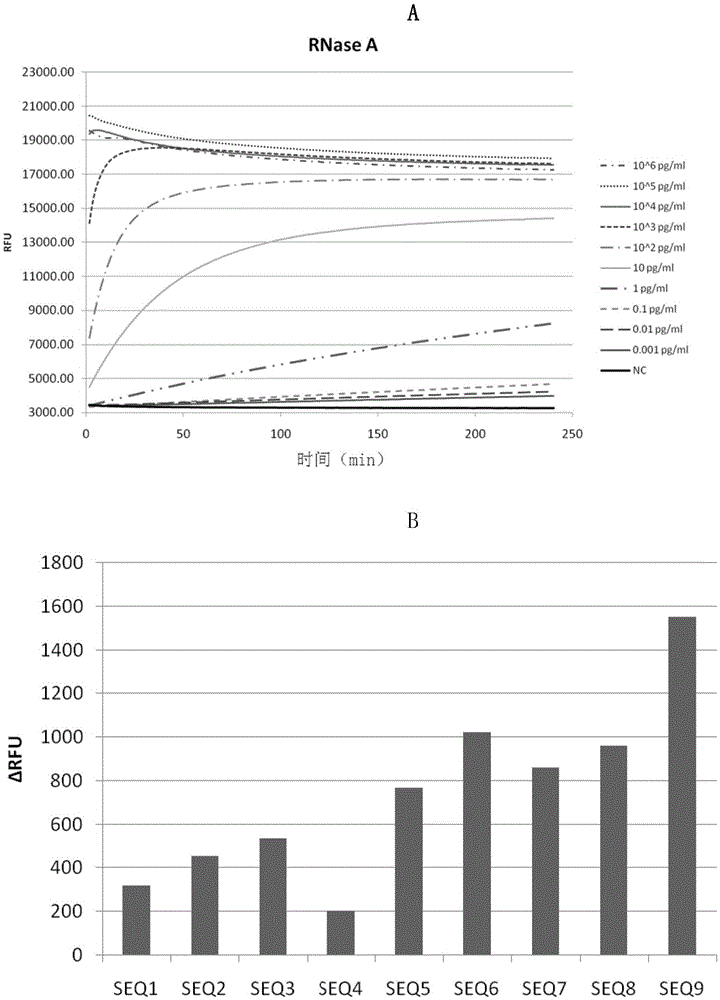 Method and kit for detecting ribonuclease