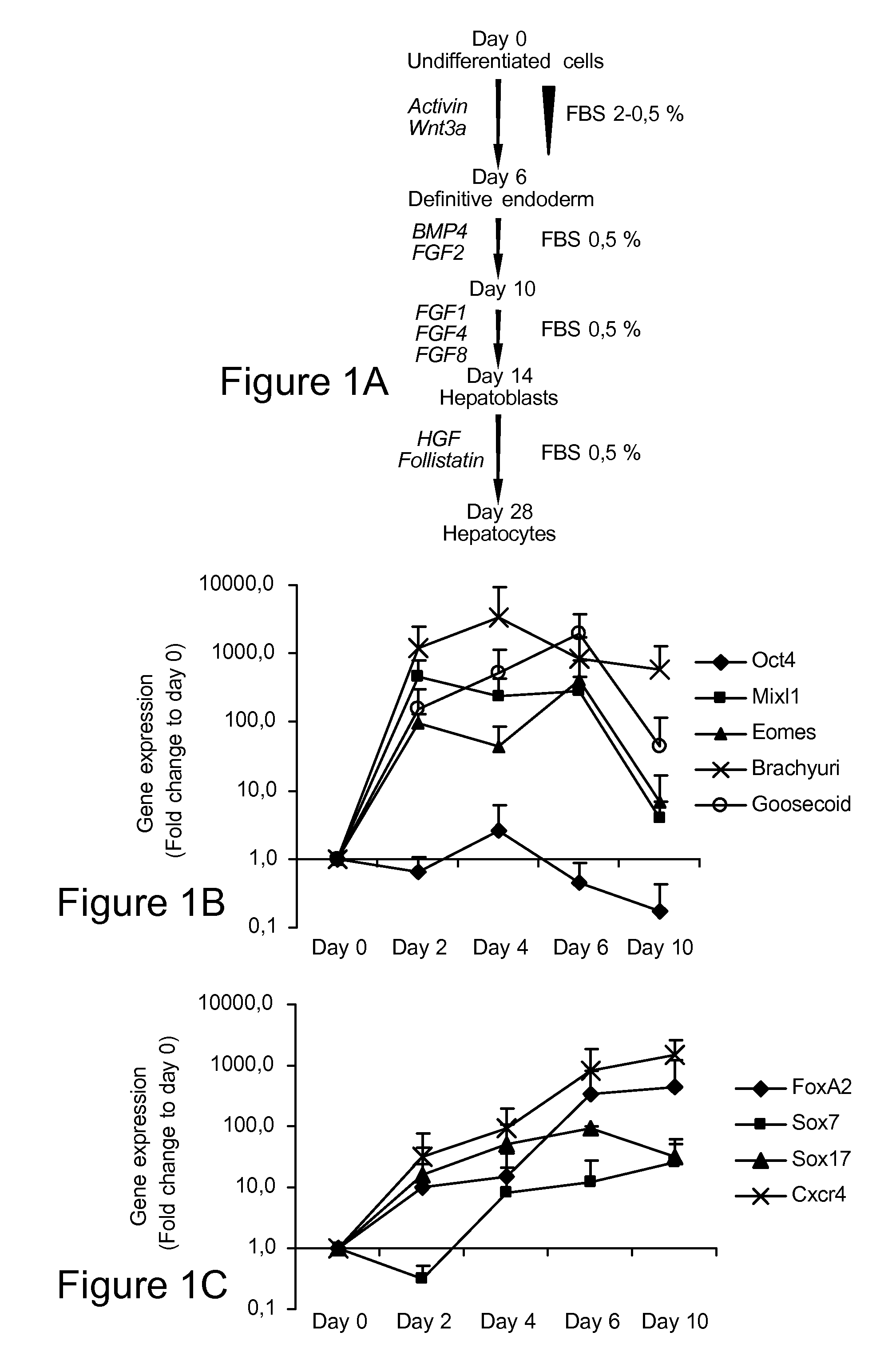 Methods for differentiating cells into hepatic stellate cells and hepatic sinusoidal endothelial cells, cells produced by the methods, and methods for using the cells