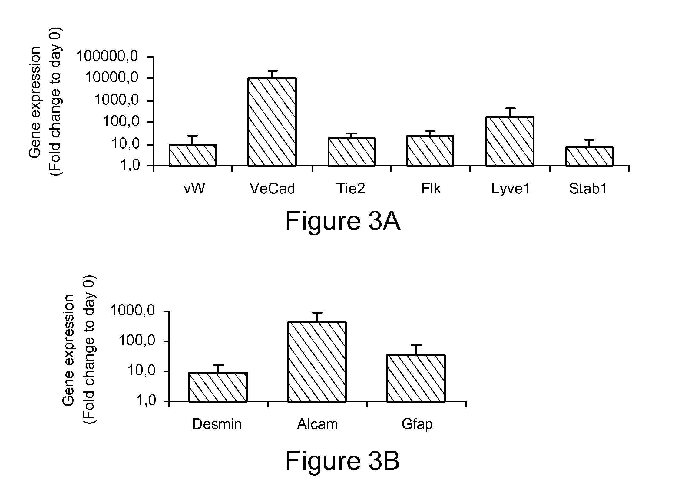 Methods for differentiating cells into hepatic stellate cells and hepatic sinusoidal endothelial cells, cells produced by the methods, and methods for using the cells