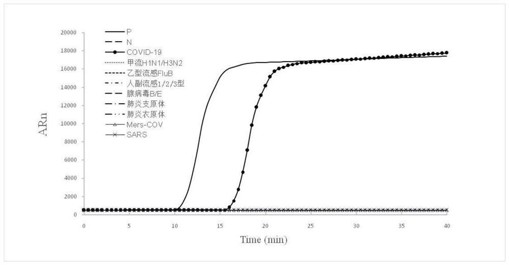 Double-target SARS-CoV-2 virus nucleic acid detection primer group, application and fluorescent kit