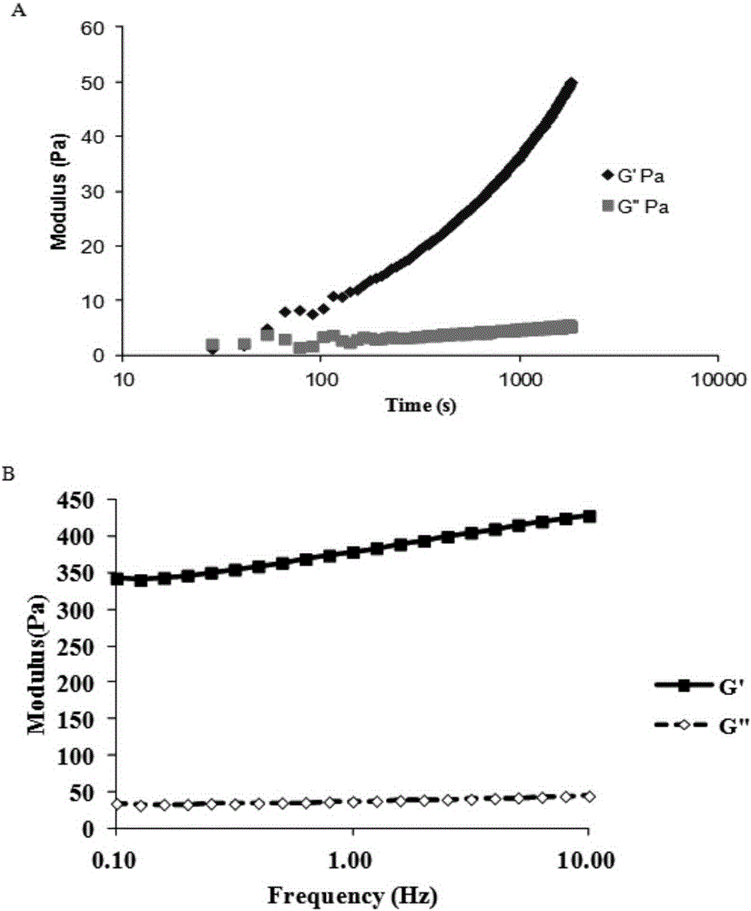 Injectable modified hyaluronic acid and its preparation method and composition