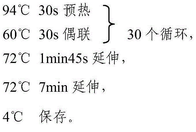 Method for rapidly identifying mirror carps