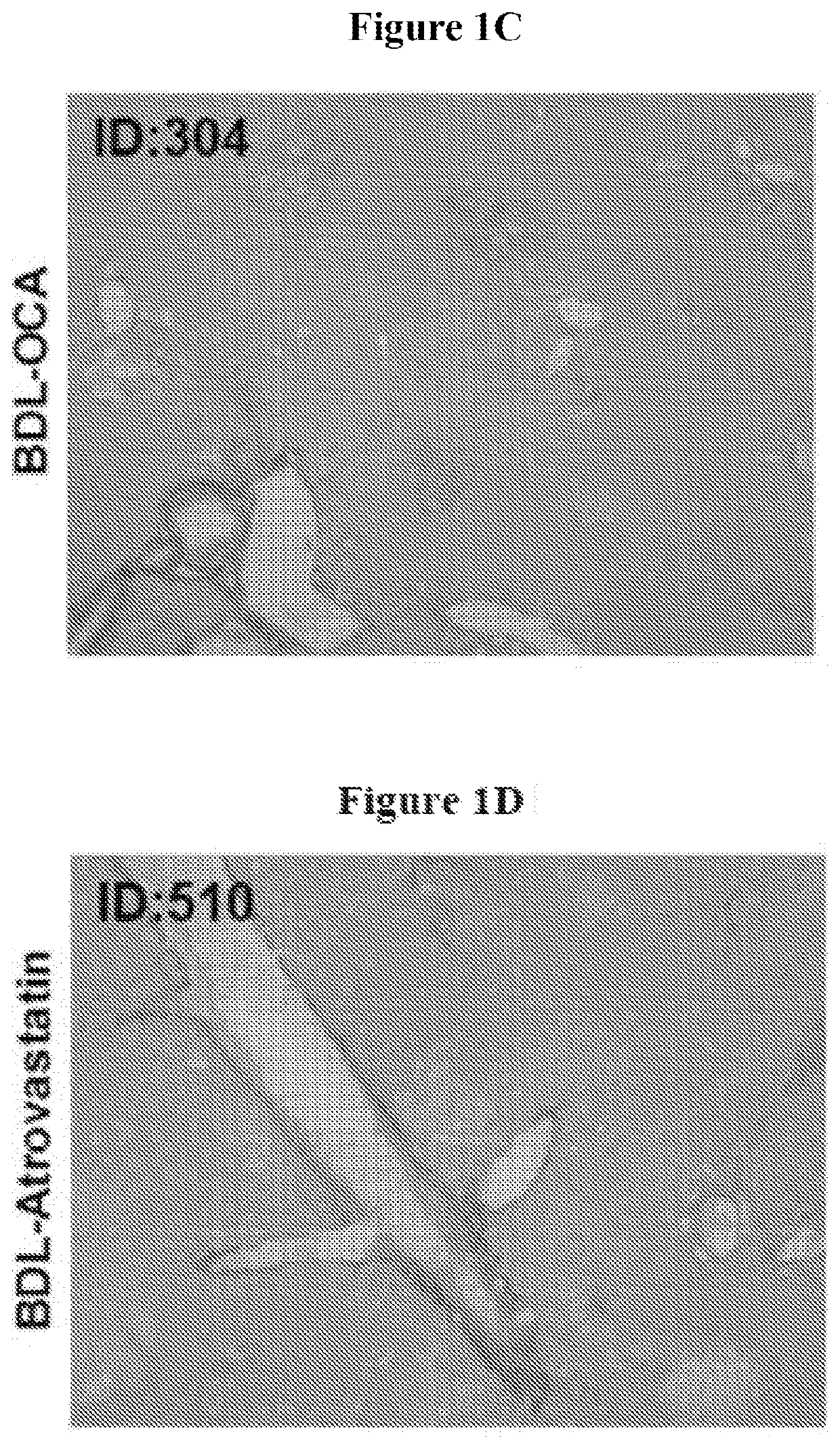 Pharmaceutical compositions for combination therapy