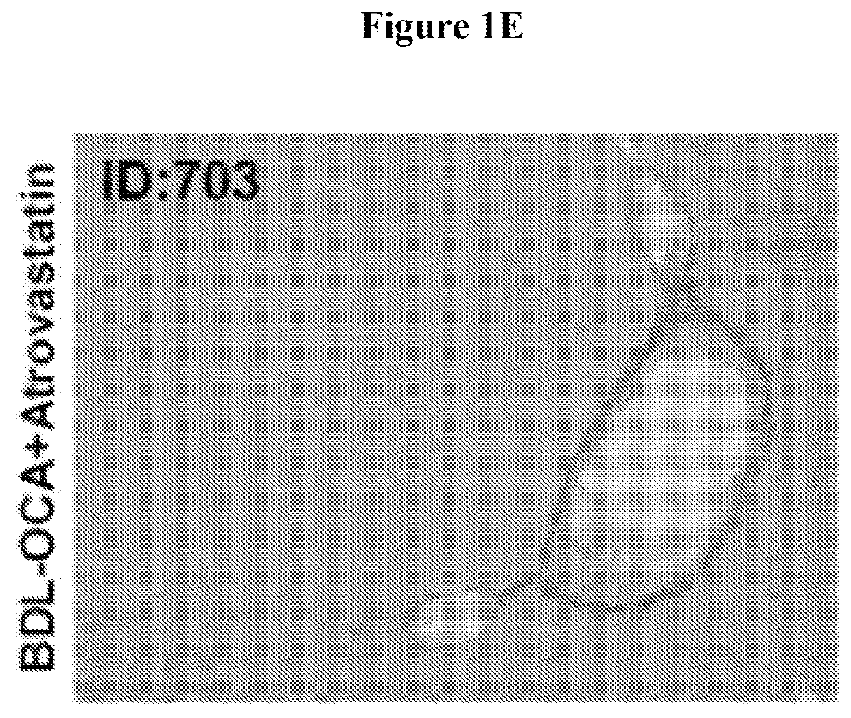 Pharmaceutical compositions for combination therapy