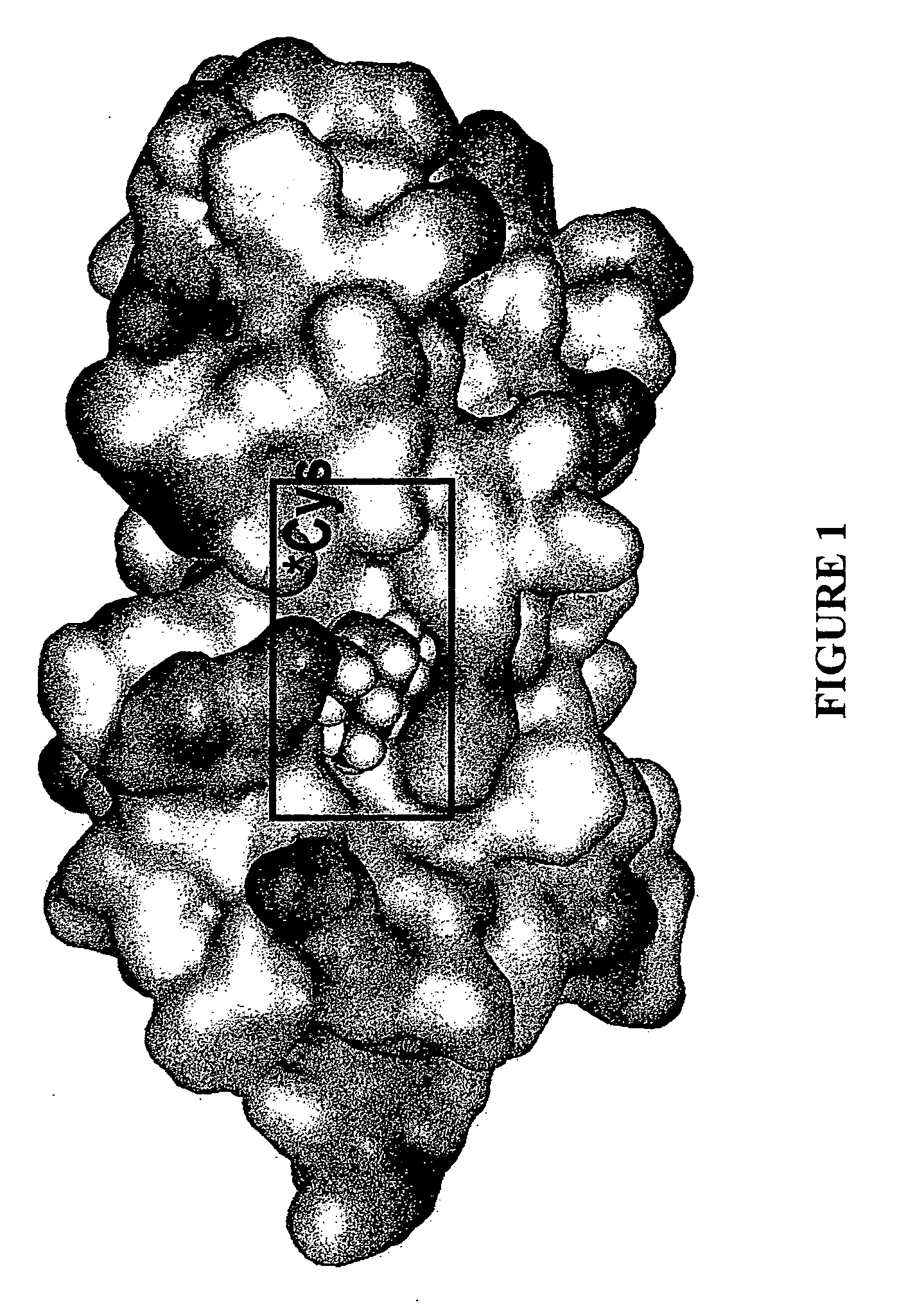 Method for the treatment of a ubiquitin conjugating disorder