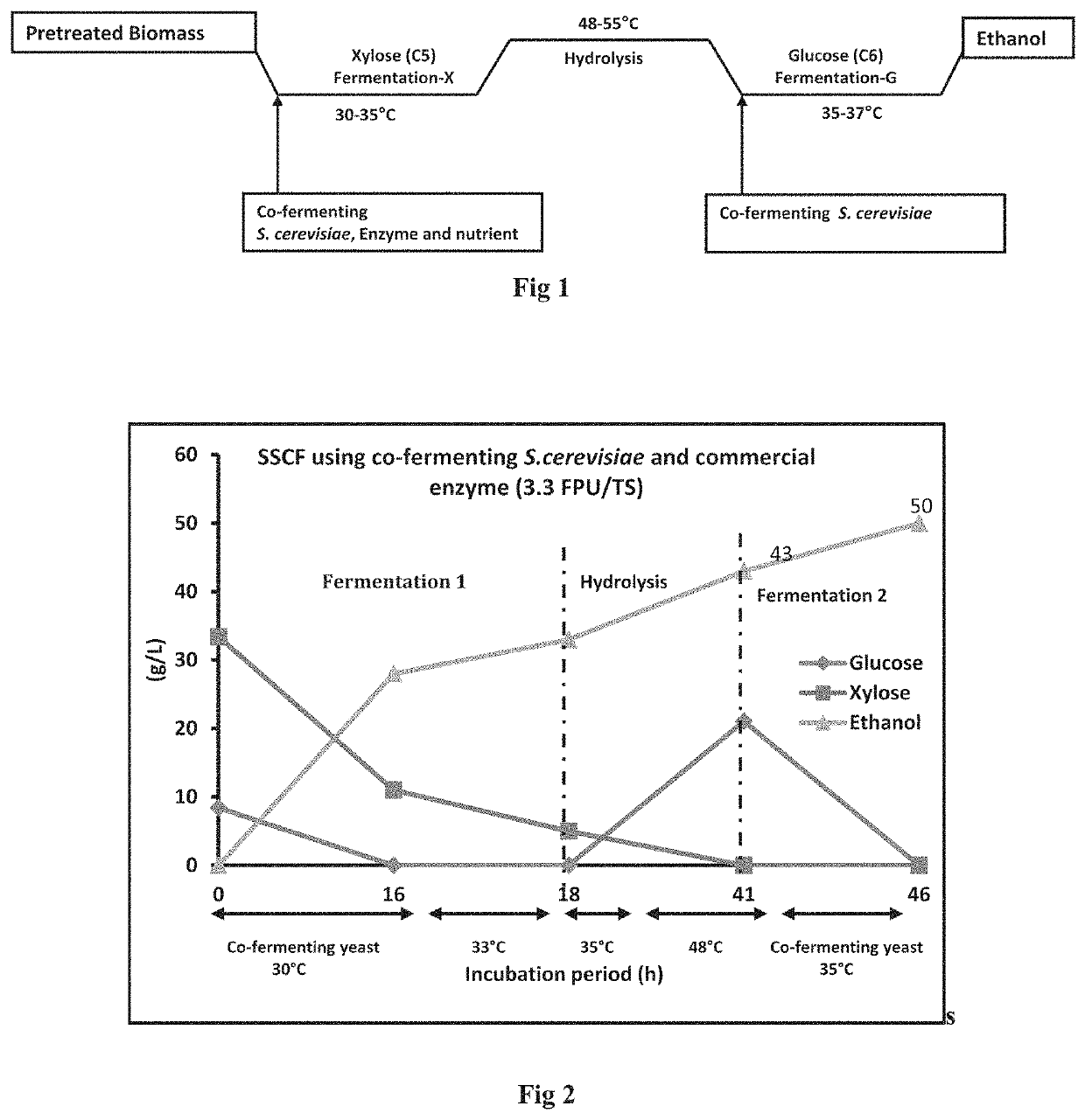 Sscf process for second generation ethanol production from lignocellulosic biomass and 2g residual biomass