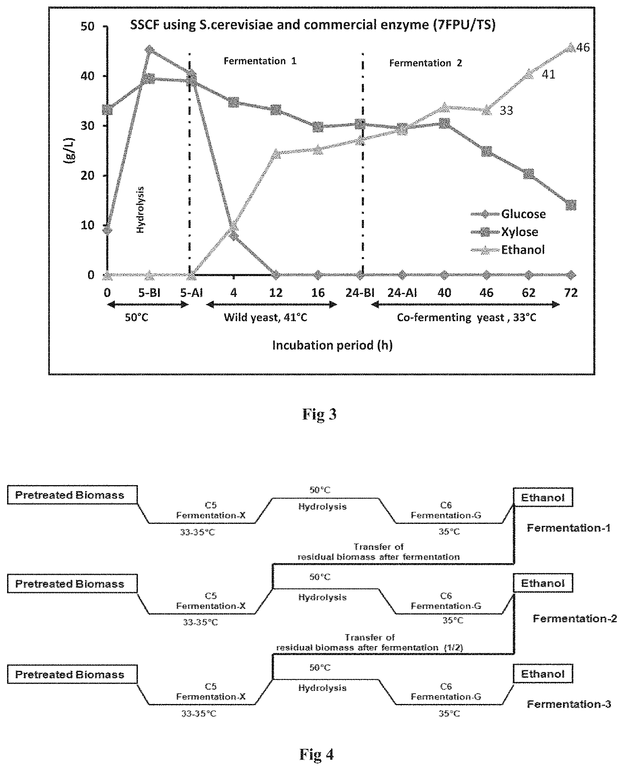 Sscf process for second generation ethanol production from lignocellulosic biomass and 2g residual biomass