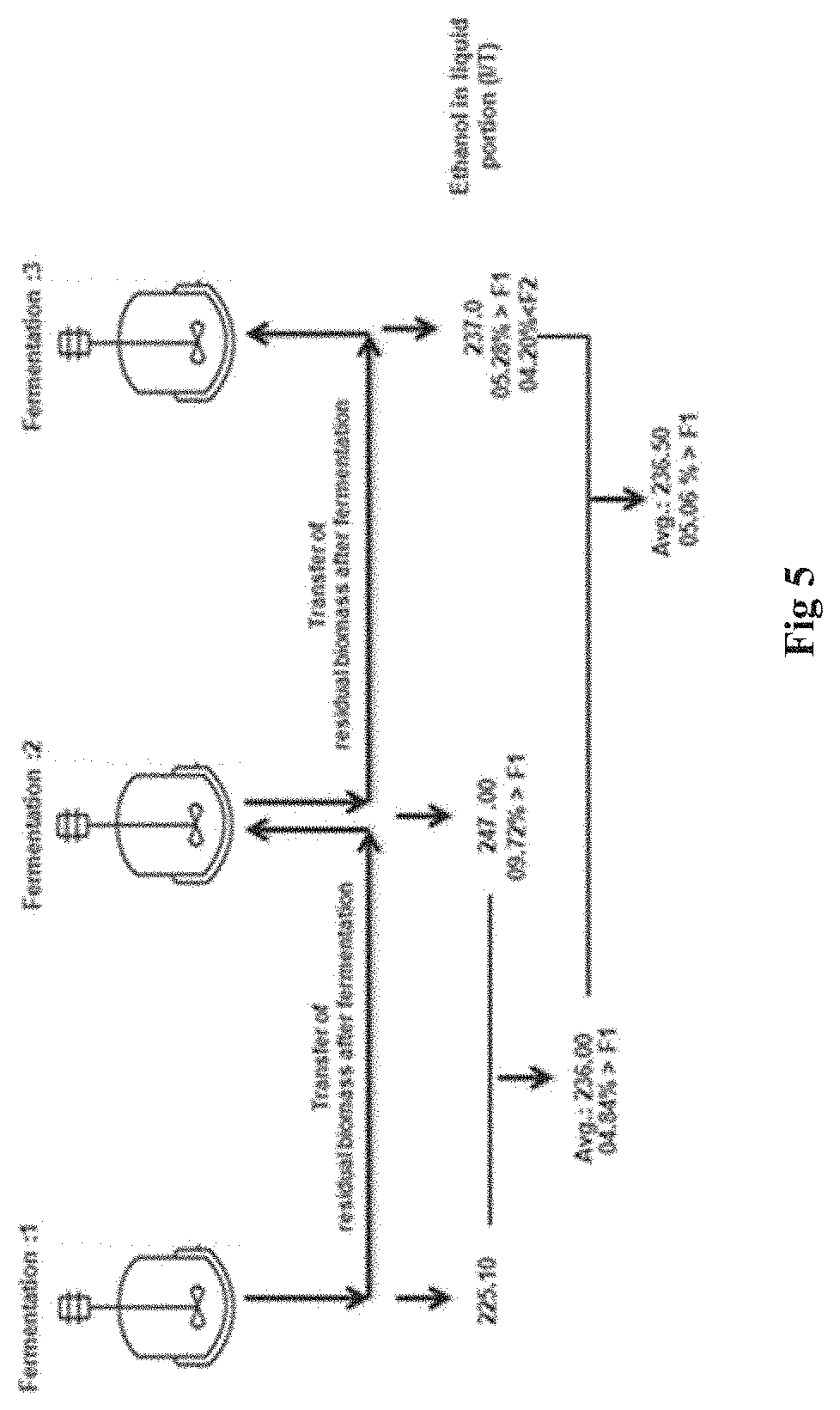 Sscf process for second generation ethanol production from lignocellulosic biomass and 2g residual biomass