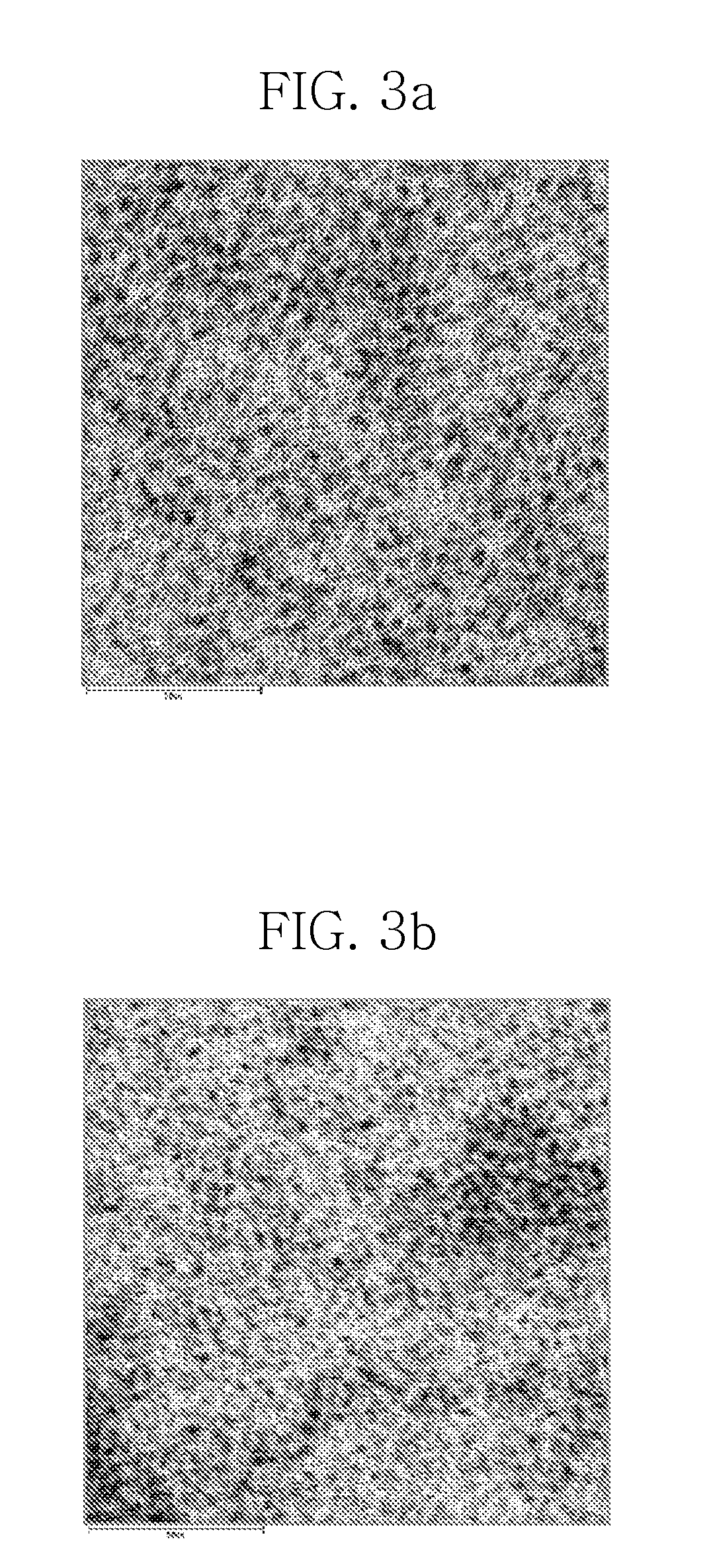 Method for preparing metal phosphide nanocrystal from phosphite compound and method for passivating nanocrystal core with the same