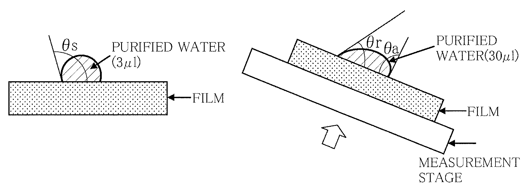 Culture container for adherent cells and method for producing culture container for adherent cells