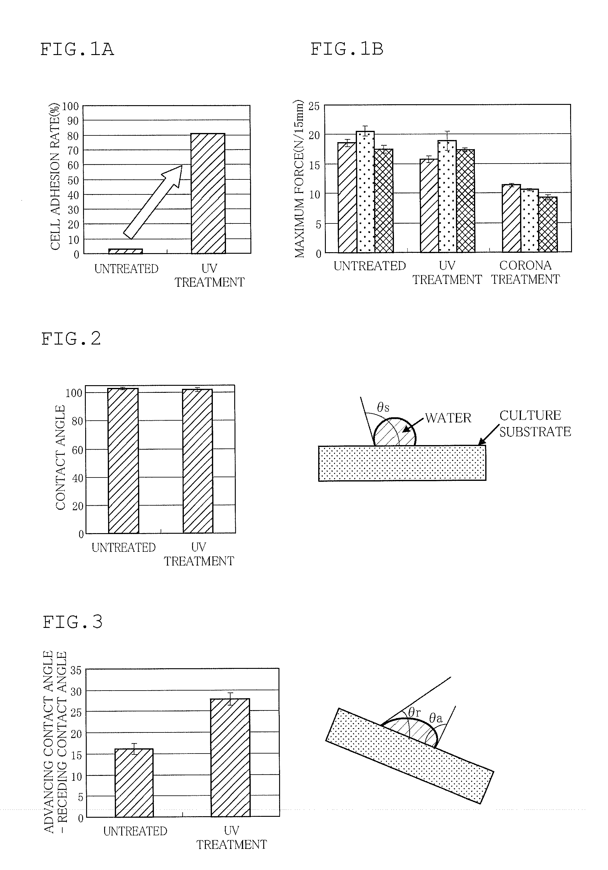 Culture container for adherent cells and method for producing culture container for adherent cells