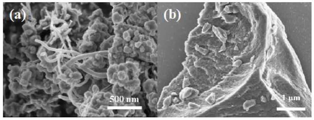 Application of red phosphorus/carbon nanotube composite material in sodium ion capacitor