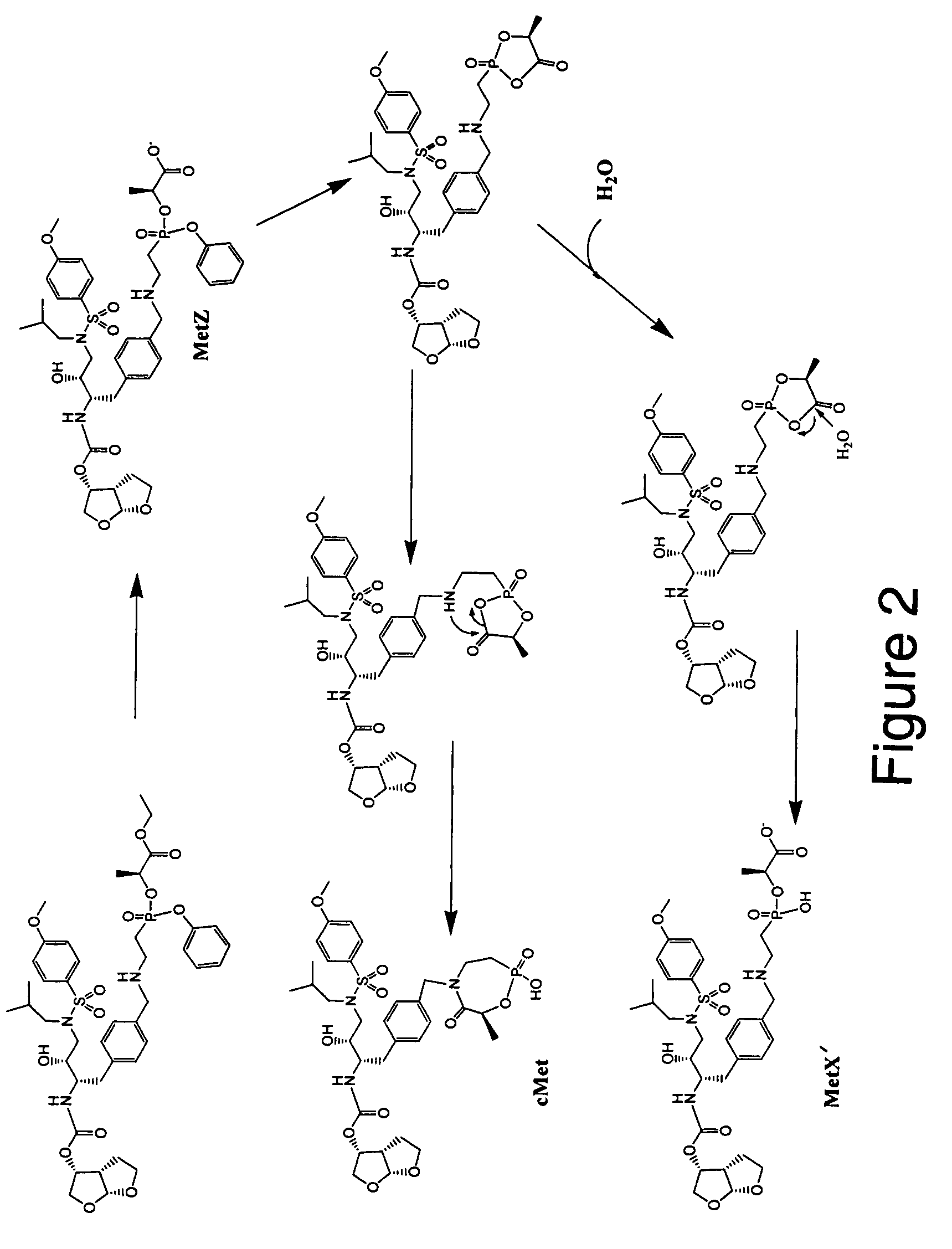 Methods and compositions for identifying therapeutic compounds with GS-9005 ester hydrolase B