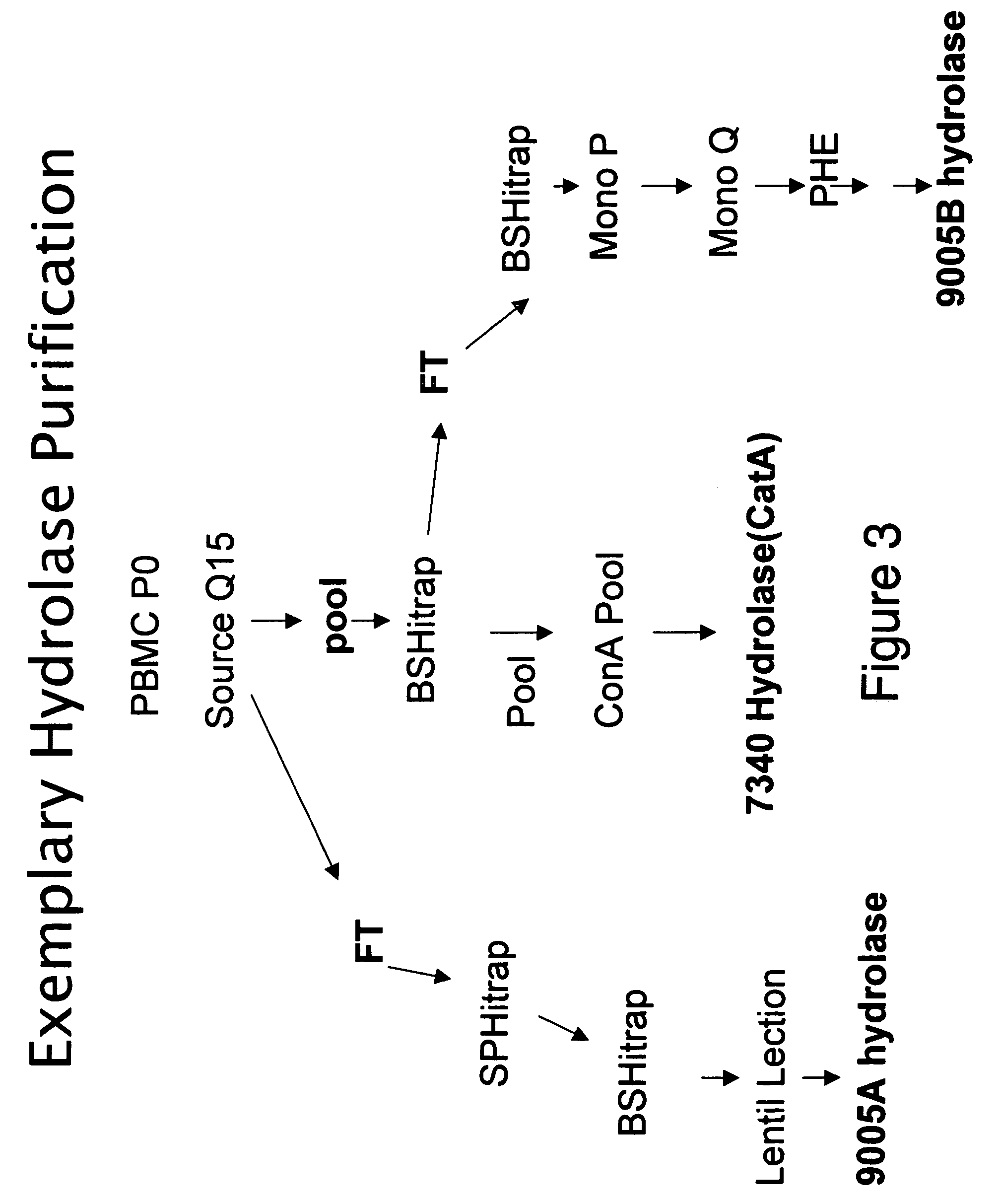 Methods and compositions for identifying therapeutic compounds with GS-9005 ester hydrolase B