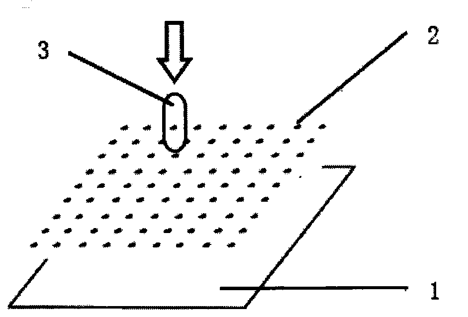 Colorimetric detection method for nitrate in explosive