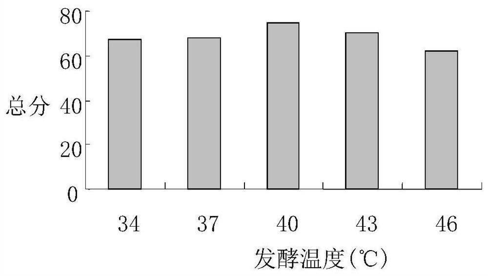 Lactic acid bacteria fermentation preserved kiwi fruit processing technology