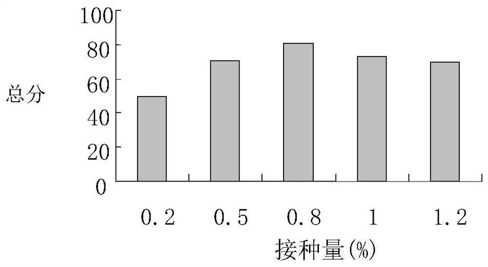 Lactic acid bacteria fermentation preserved kiwi fruit processing technology