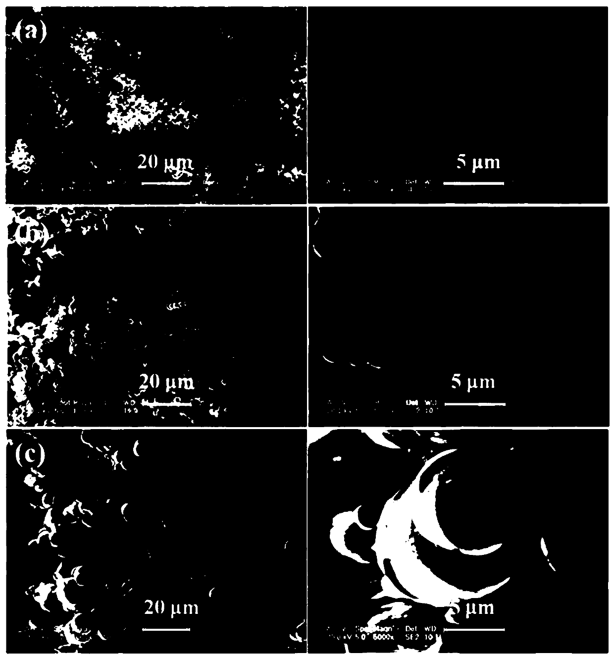 Method of constructing electrochemical immunosensing interface based on conductive gel with active sites