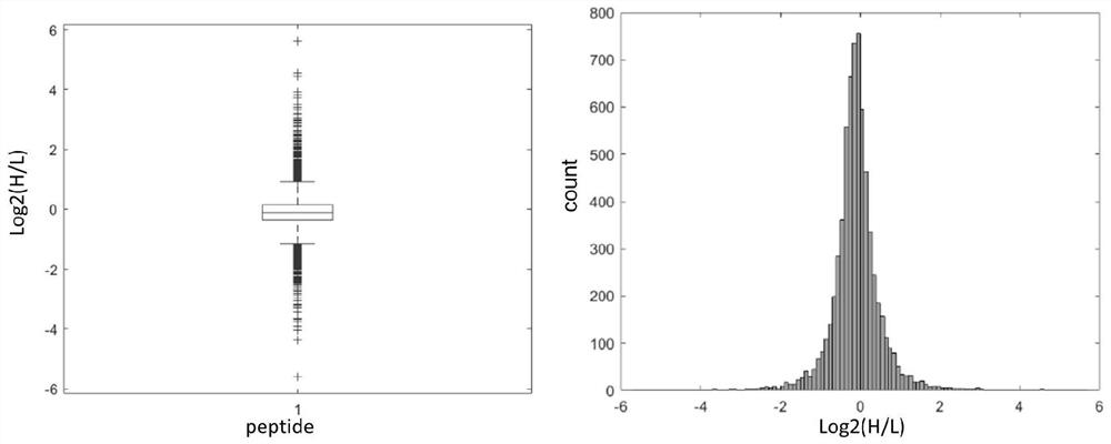 A method for protein quantification based on the dimethylation-tagged DIA strategy