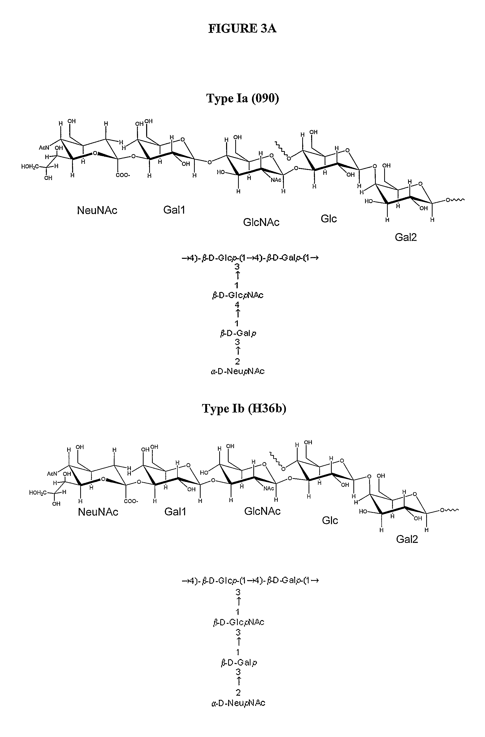 Fermentation processes for cultivating streptococci and purification processes for obtaining cps therefrom