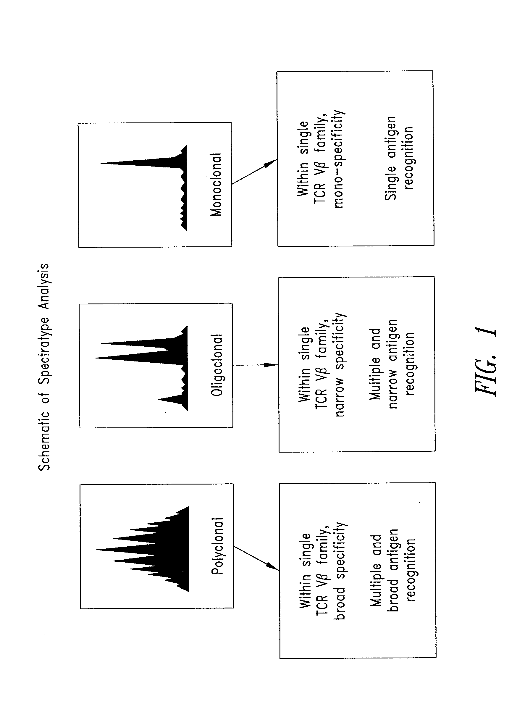 Compositions and methods for restoring immune responsiveness in patients with immunological defects