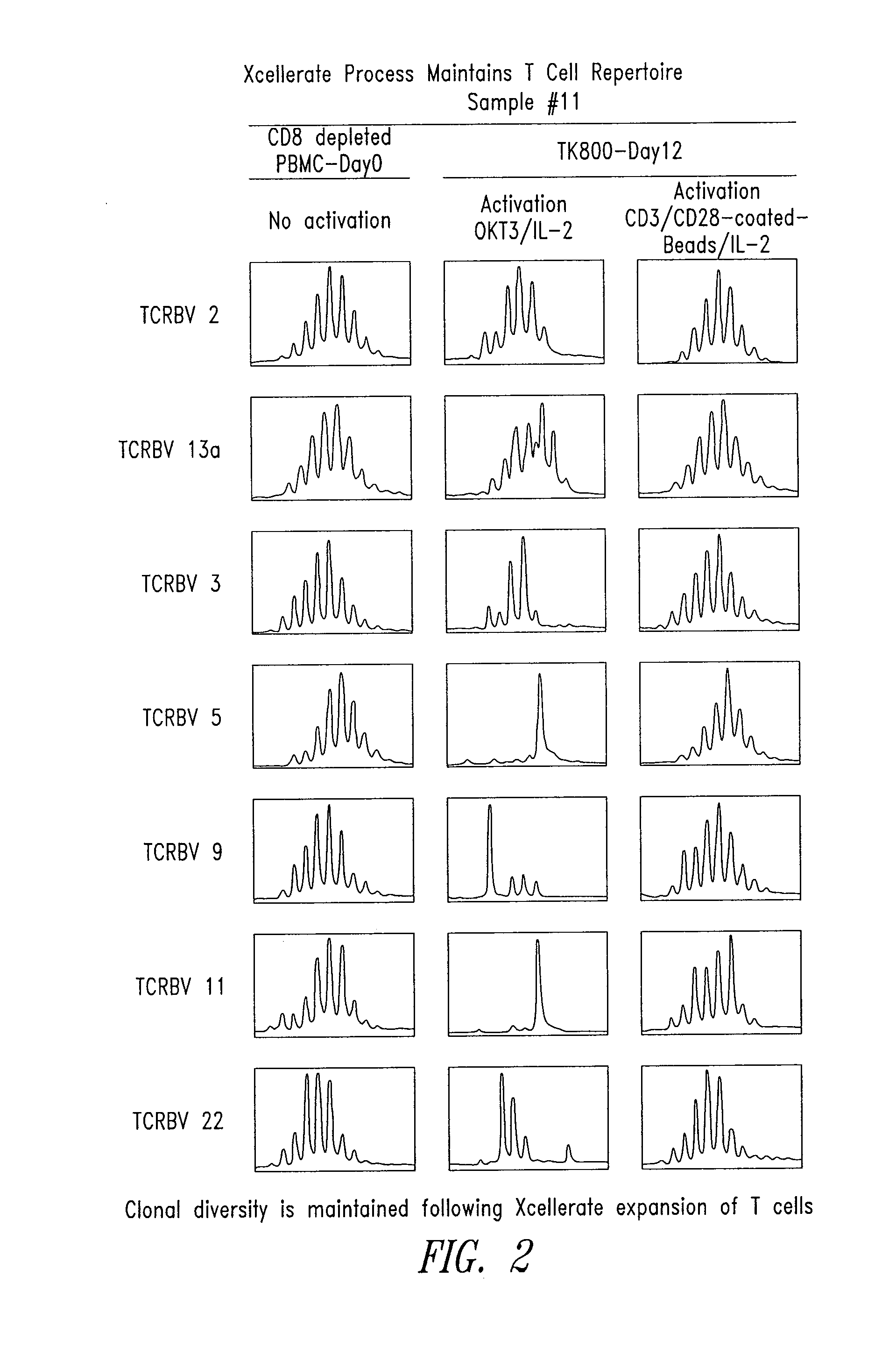 Compositions and methods for restoring immune responsiveness in patients with immunological defects