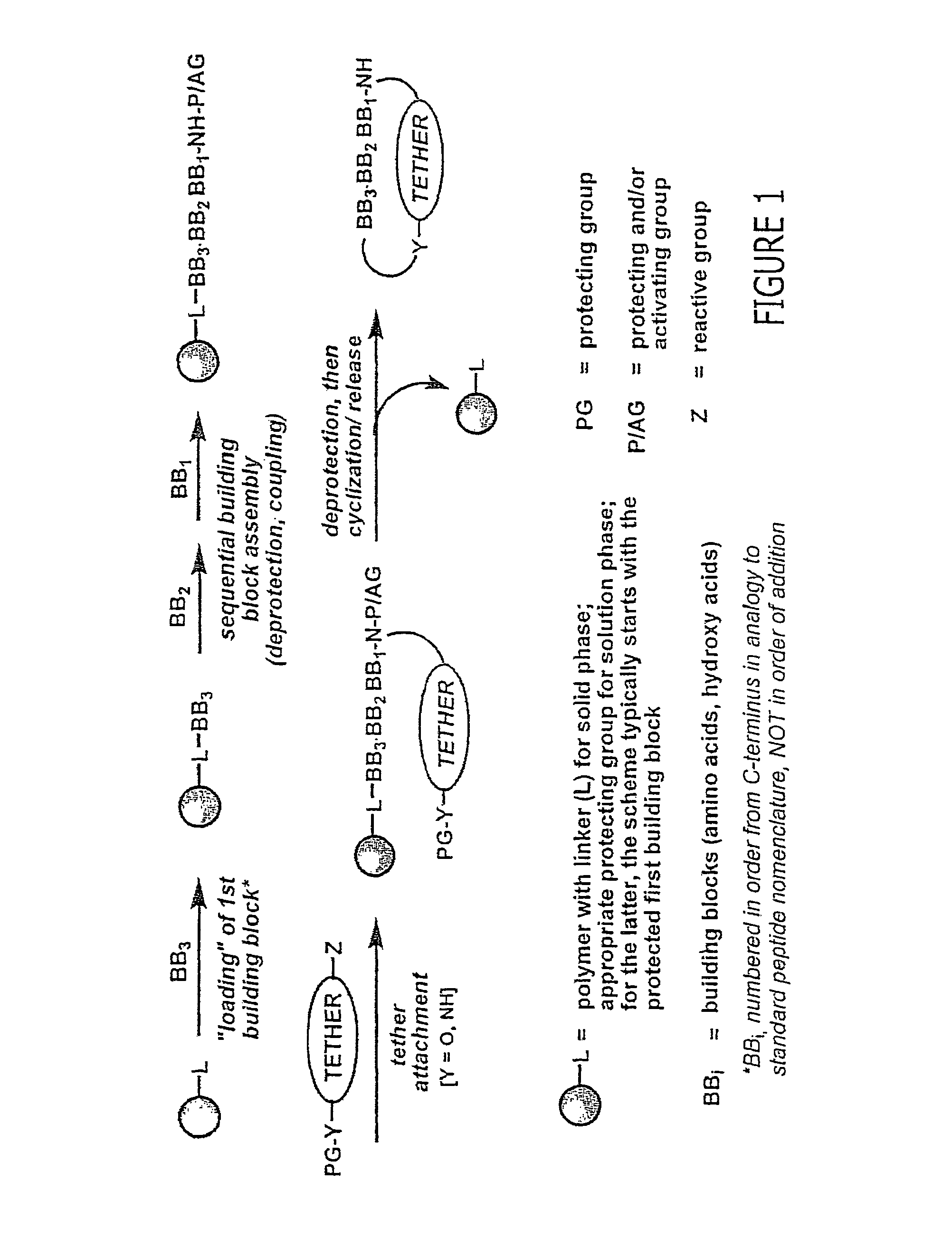 Macrocyclic modulators of the Ghrelin receptor